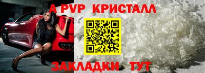 шишки Камышлов