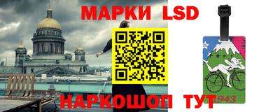 шишки Камышлов