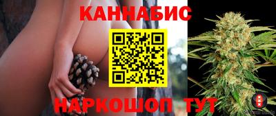 шишки Камышлов