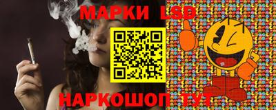 шишки Камышлов