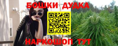 шишки Камышлов
