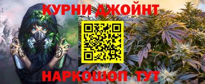 шишки Камышлов