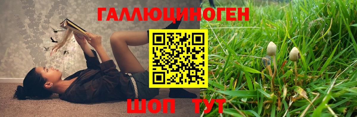 Глазов  Галлюциногенные грибы прущие грибы  Вход с VPN 
