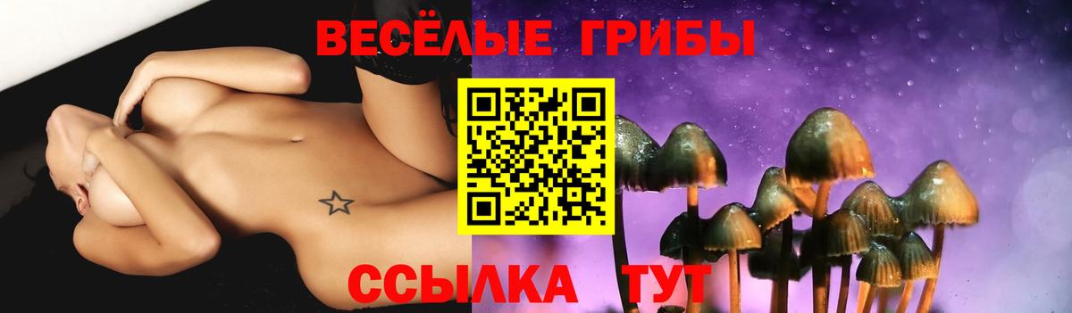 Галлюциногенные грибы Psilocybe Глазов